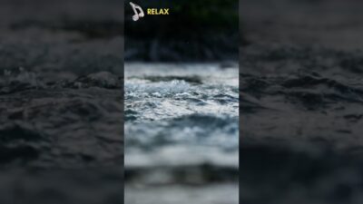 Relaxing Water Sounds  #relaxation #asmr #nature