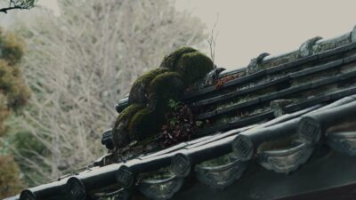 雨の柴又帝釈天！下町の静寂と雨音の散歩 ⭐Sony a7c2