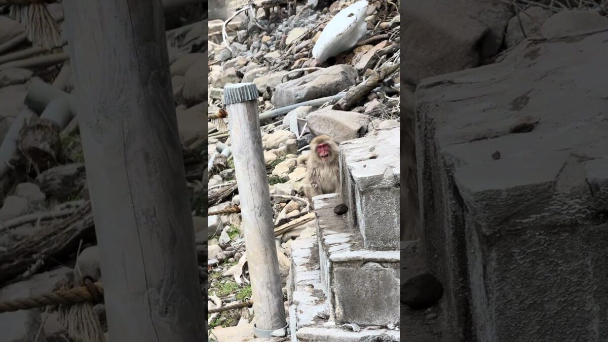 Steam, snow, and pure magic #nature #asmr #shortsviral