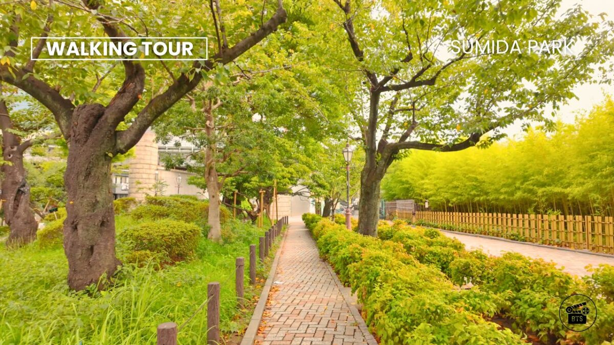 Sumida Park & Tokyo Skytree 4K Walk • Asakusa Tokyo Japan | Silent POV