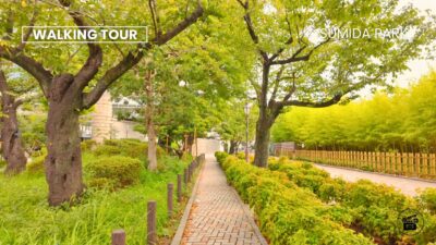 Sumida Park & Tokyo Skytree 4K Walk • Asakusa Tokyo Japan | Silent POV