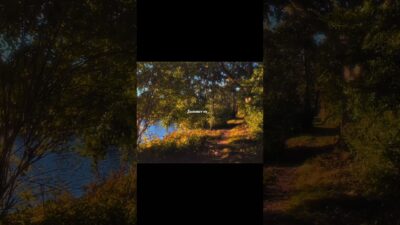 Summer vs Winter 🌿❄️ Which Season Would You Choose? #shorts #viral #sound #nature #asmr #relaxing