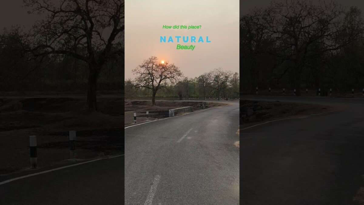 𝗡𝗔𝗧𝗨𝗥𝗔𝗟 𝗕𝗘𝗔𝗨𝗧𝗬☘️#asmr #nature #places #hills #hiddenhistory #hindisong #hindi #hindistories #travel