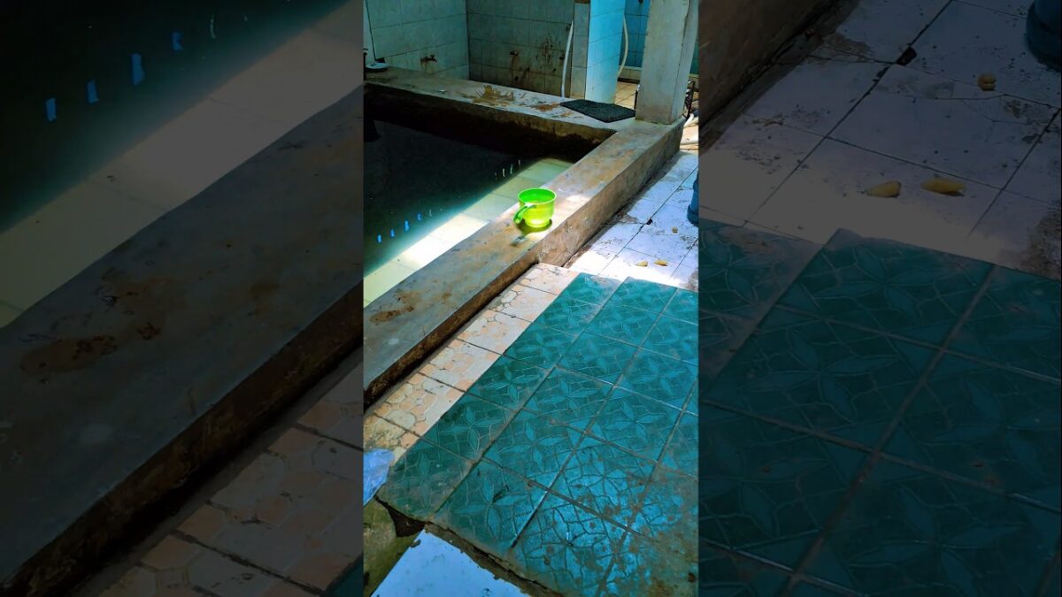 isi gayung itu apa ya #trendingshorts