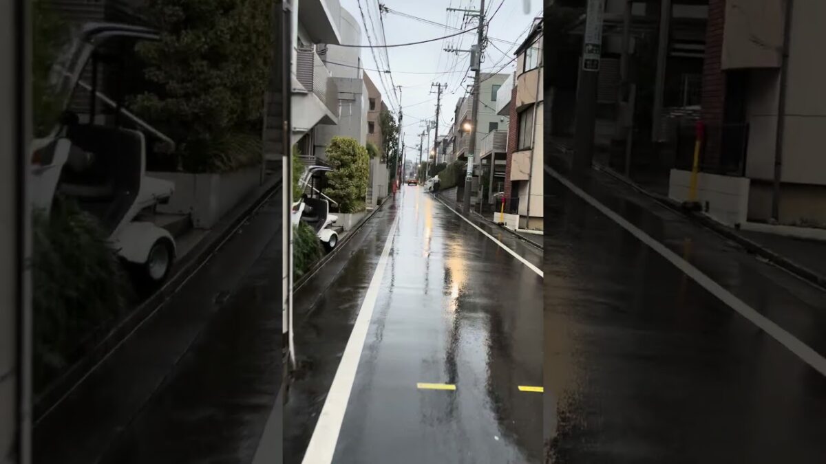 #雨音 #日本 #japan #asmr #travel