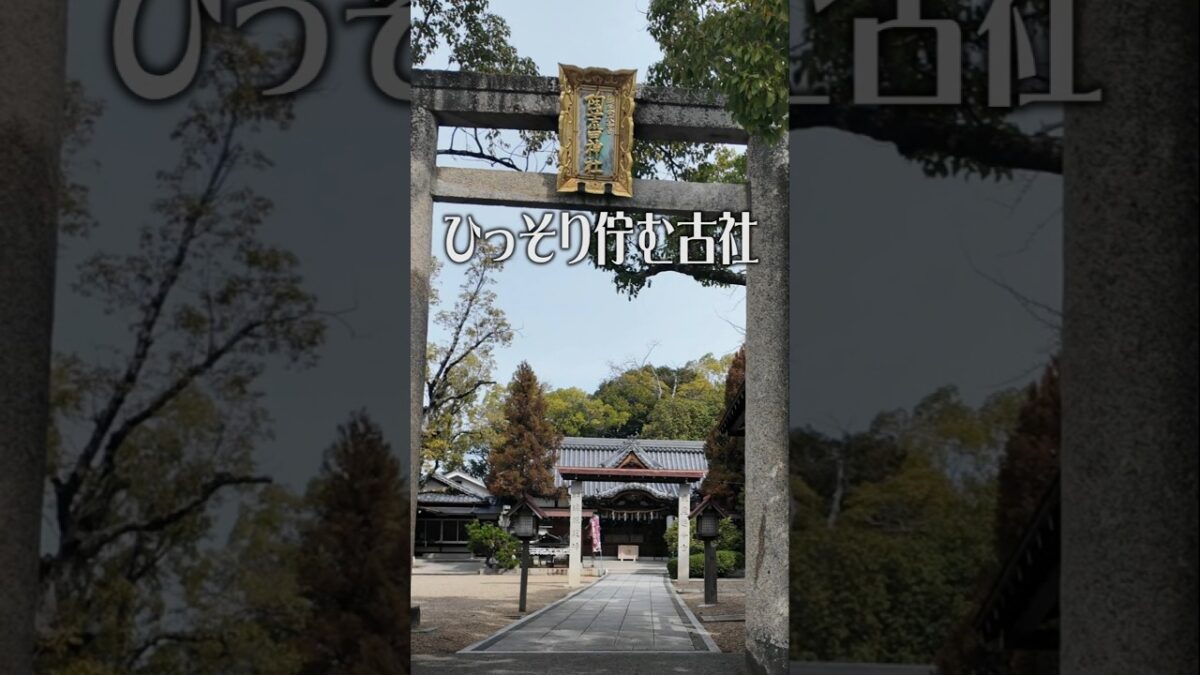 【心が整う古社】陶荒田神社（大阪・堺市）｜静寂のパワースポット