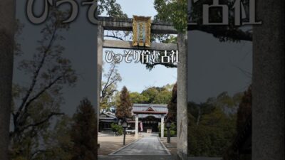 【心が整う古社】陶荒田神社（大阪・堺市）｜静寂のパワースポット