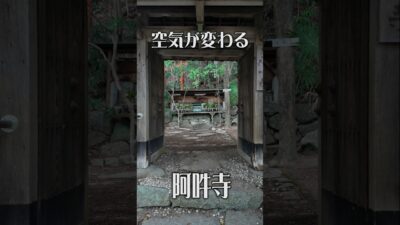 【空気が変わる】阿吽寺（奈良・御所市）｜静寂に包まれた古刹