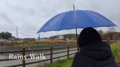 雨音さんぽ｜野々下水辺公園｜静かな水辺の時間