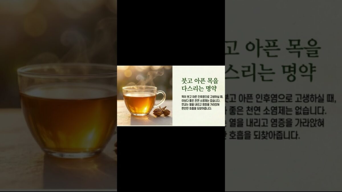 [꽃과 나무] 이제 개나리가 다르게 보일 거예요! 희망과 치유의 꽃 💛