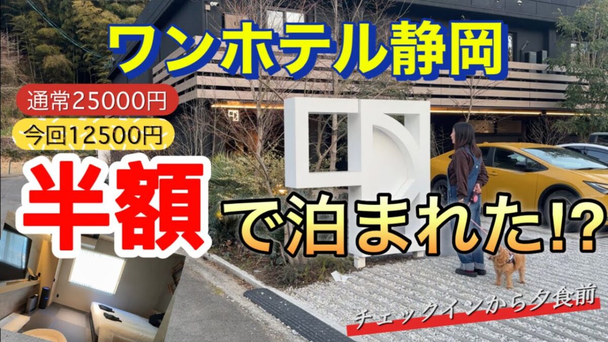 【愛犬とお泊り】ワンホテル静岡 宿泊記｜チェックインから夕食前まで全部見せます！半額で泊まれたワンホテルが凄すぎた！