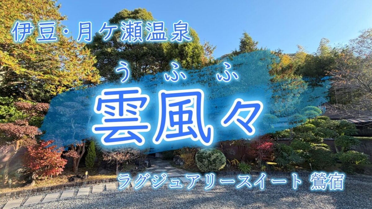 【伊豆月ケ瀬温泉　雲風々】時空を越えた、和モダンリゾート　源泉掛け流しの宿