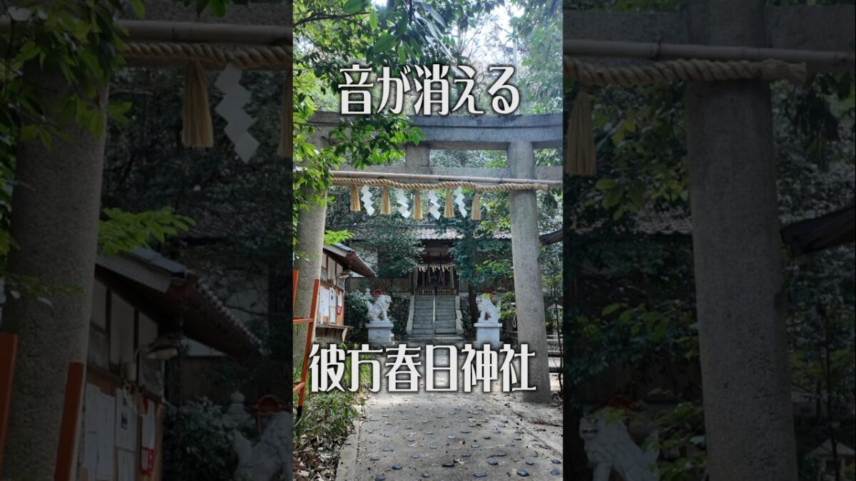 【音が消える】彼方春日神社（大阪・富田林）｜静寂の古社