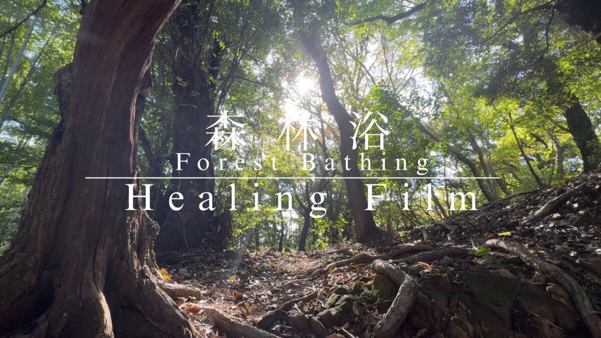 森林浴 自然の音