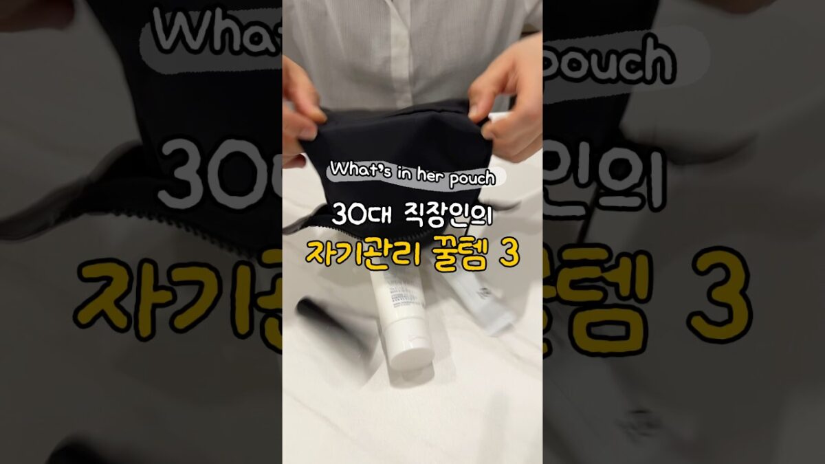 꾸안꾸 추구 직장인의 왓츠인마이백