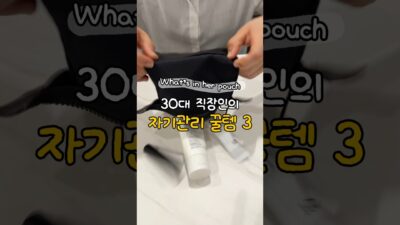 꾸안꾸 추구 직장인의 왓츠인마이백