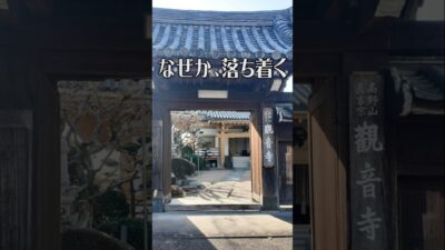 【なぜか落ち着く寺】観音寺（大阪・堺市）｜癒やしの古刹