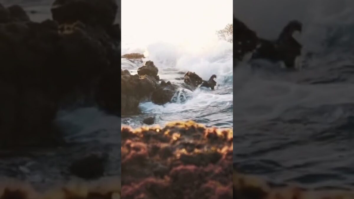 wave sounds relax #shorts #relax #sleep #nature #asmr