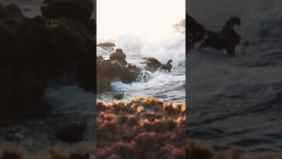 wave sounds relax #shorts #relax #sleep #nature #asmr