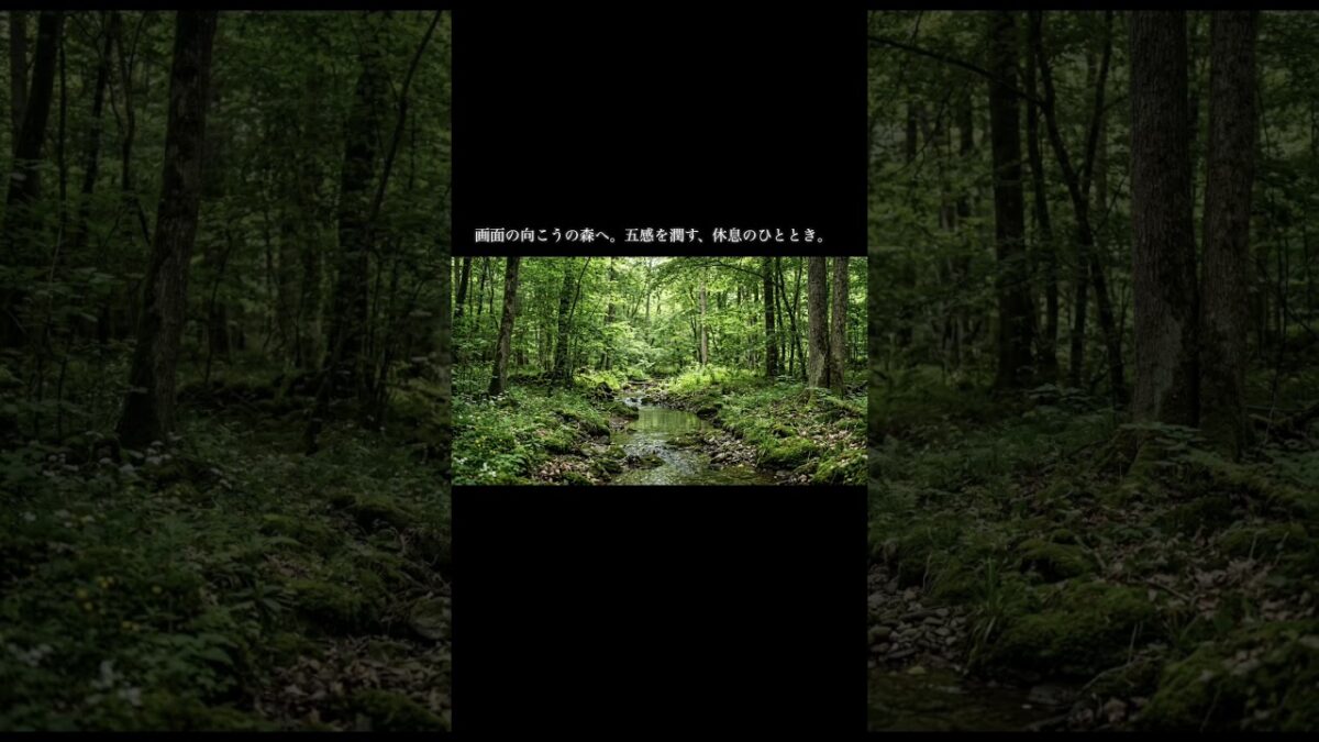 森の呼吸を聴く1時間。深い眠りとリラックス｜睡眠導入・集中力向上 #作業用bgm #寝落ち音楽 #勉強用bgm #癒し