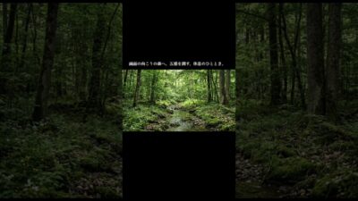 森の呼吸を聴く1時間。深い眠りとリラックス｜睡眠導入・集中力向上 #作業用bgm #寝落ち音楽 #勉強用bgm #癒し