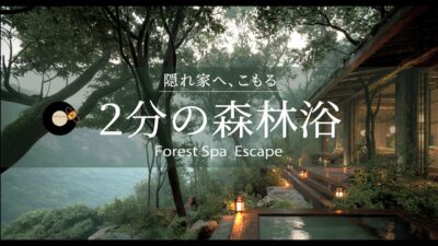 【 森でチルを浴びる 】2分の森林浴｜「ただ静かな場所にいたい」あなたへ。月曜の疲れをゆるめる癒やしのサウンド