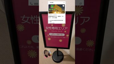 36歳独身女、1人で温泉ホテルに来た結果…🚗♨️🍺【山梨県/スパランド・ホテル内藤 ルームツアー】