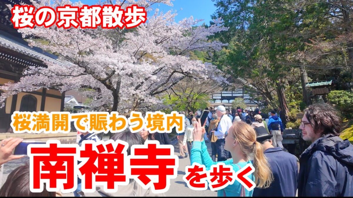 4/2(木)桜の京都散歩 満開で賑わう南禅寺を歩く【4K】Kyoto Japan Walk
