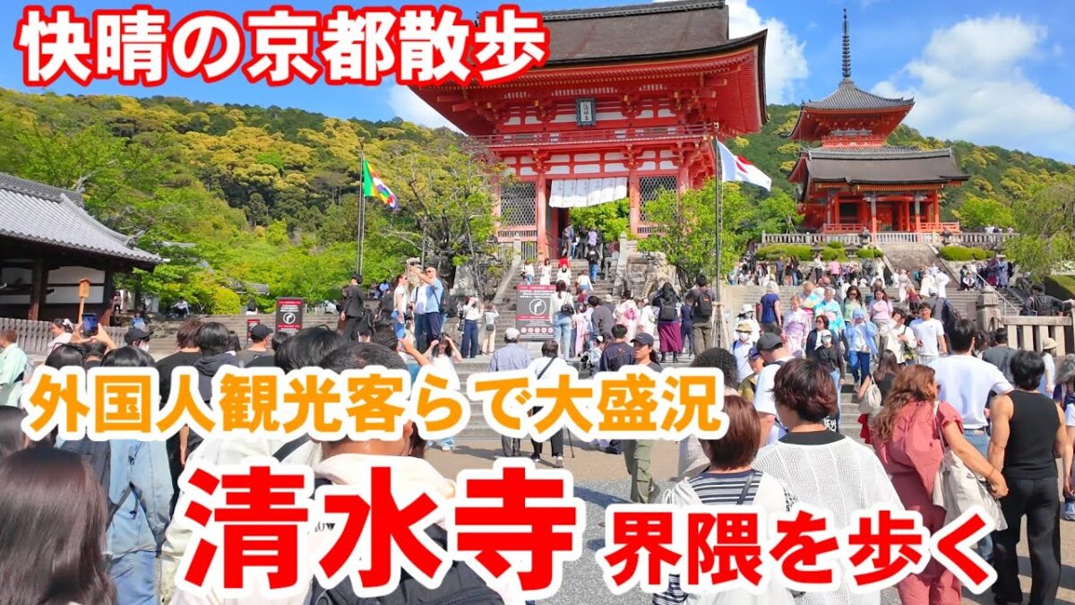 4/25(土)週末の京都散歩 外国人観光客で大盛況の清水寺界隈を歩く【4k】Kyoto  Japan walk