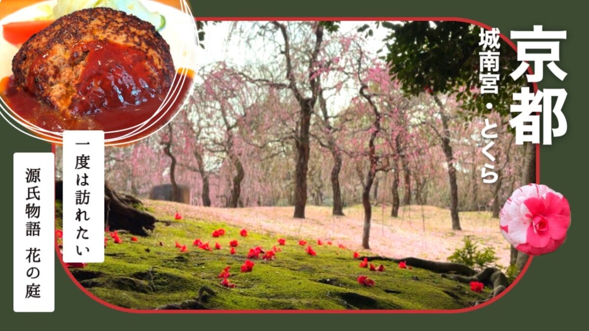 【 早春の京都 】幻想的なしだれ梅と、とくらの肉汁ハンバーグを巡る｜城南宮｜京都旅行 4K
