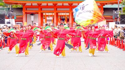 [4K] よさこい連「わ」　京都さくらよさこい 2026 さくよさ 日曜日 パレード演舞