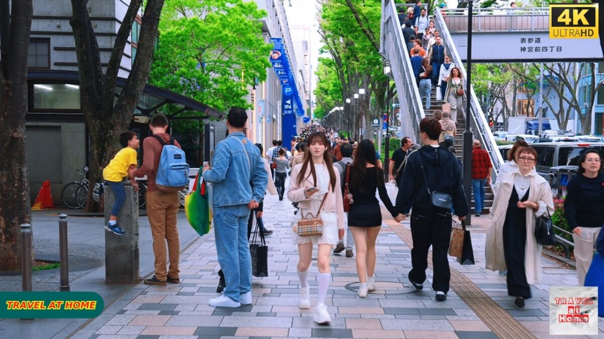 【4K HDR】Harajuku Tokyo Spring Walk 🌿 | Cloudy Afternoon City Stroll