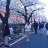 【4K HDR】Tokyo Nakameguro Sakura Walk 🌸 | Sunset Stroll in Peaceful Cherry Blossom Streets