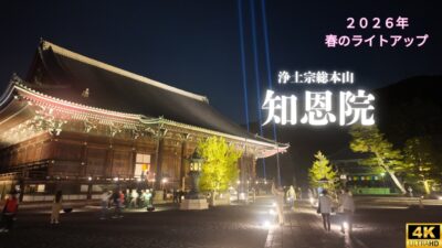 【4K 京都Vlog】知恩院 春のライトアップ｜夜に浮かぶ静寂と桜の風景