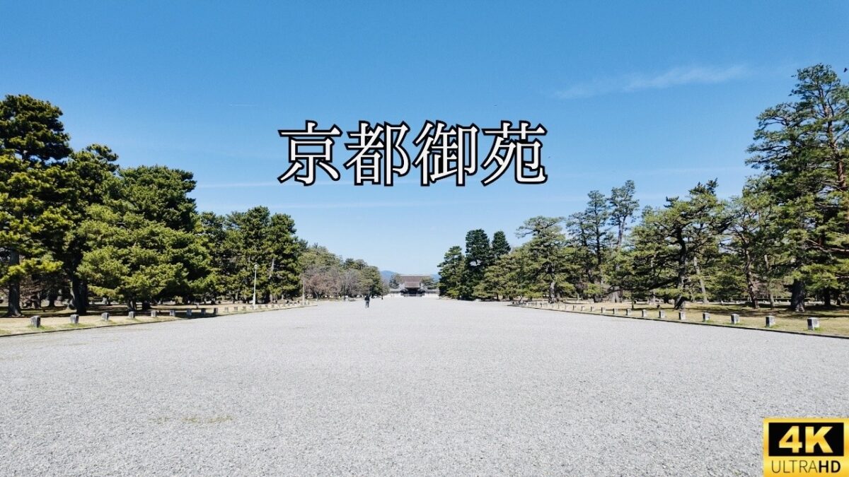 【4K 京都Vlog】京都御苑を歩く｜春の京都を静かに巡る｜2026.03.17｜