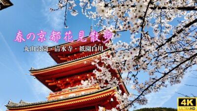 【4K 京都Vlog】丸山公園、清水寺、祇園白川｜桜に包まれる春の京都｜2026.04.03｜
