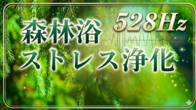 【森林浴528Hzヒーリング】ストレスを浄化する自然音で深いリラックス/Deep Forest Relaxation