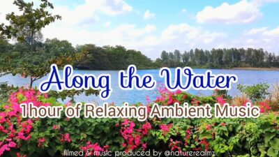 Along the Water – 1hour of Relaxing Original Ambient Music | Nature ASMR Sounds by ⁨@NatureRealmz