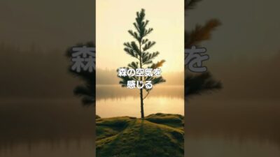 ♪【森林浴BGM】031♪ #リラクゼーション #癒し