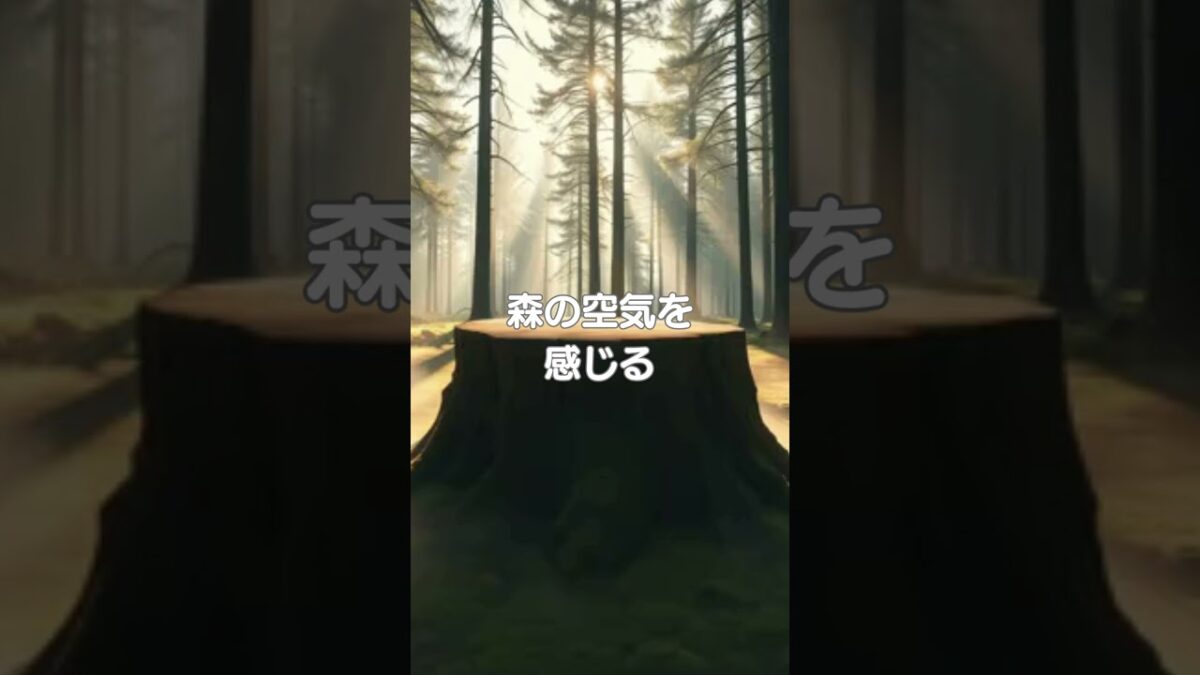 ♪【森林浴BGM】034♪ #リラクゼーション #癒し