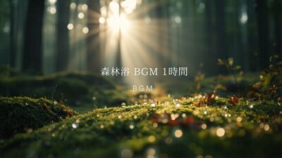 【森林浴BGM】1時間の癒し｜杉林の朝・小鳥のさえずり｜集中・睡眠・瞑想に