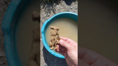 Best oddly satisfying, what’s in the mud? 🤯🍭🍬