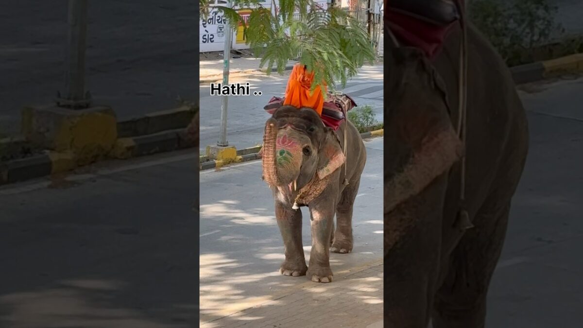 Day 68 – Gaming Café Owner Life | PS5 Gaming Zone Morning Routine, Cleaning & Opening Prep