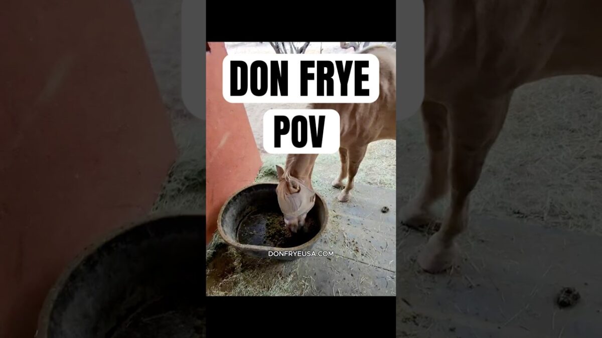 Don Frye’s Morning Routine