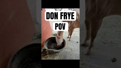 Don Frye’s Morning Routine