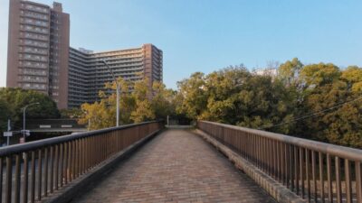 Empty Tree-Lined Pedestrian Path | 4K Japan Walking | Ambient Sounds