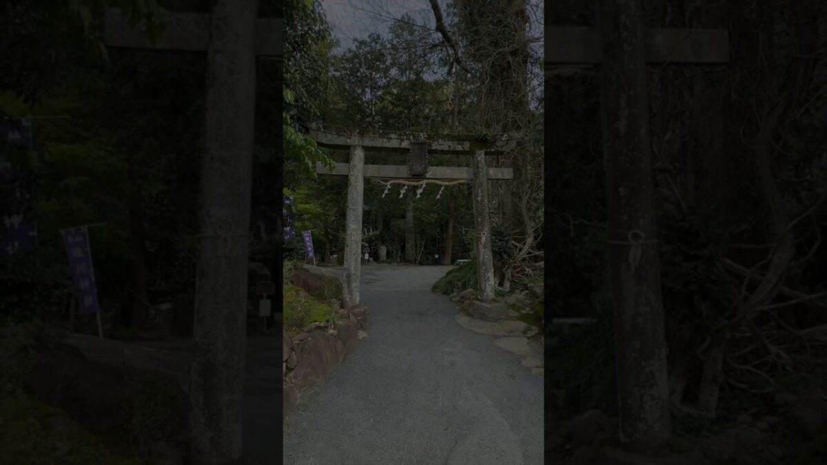 Hidden Shrine in Japan 🇯🇵 | Takigawa Jinja Cinematic Walk #travel