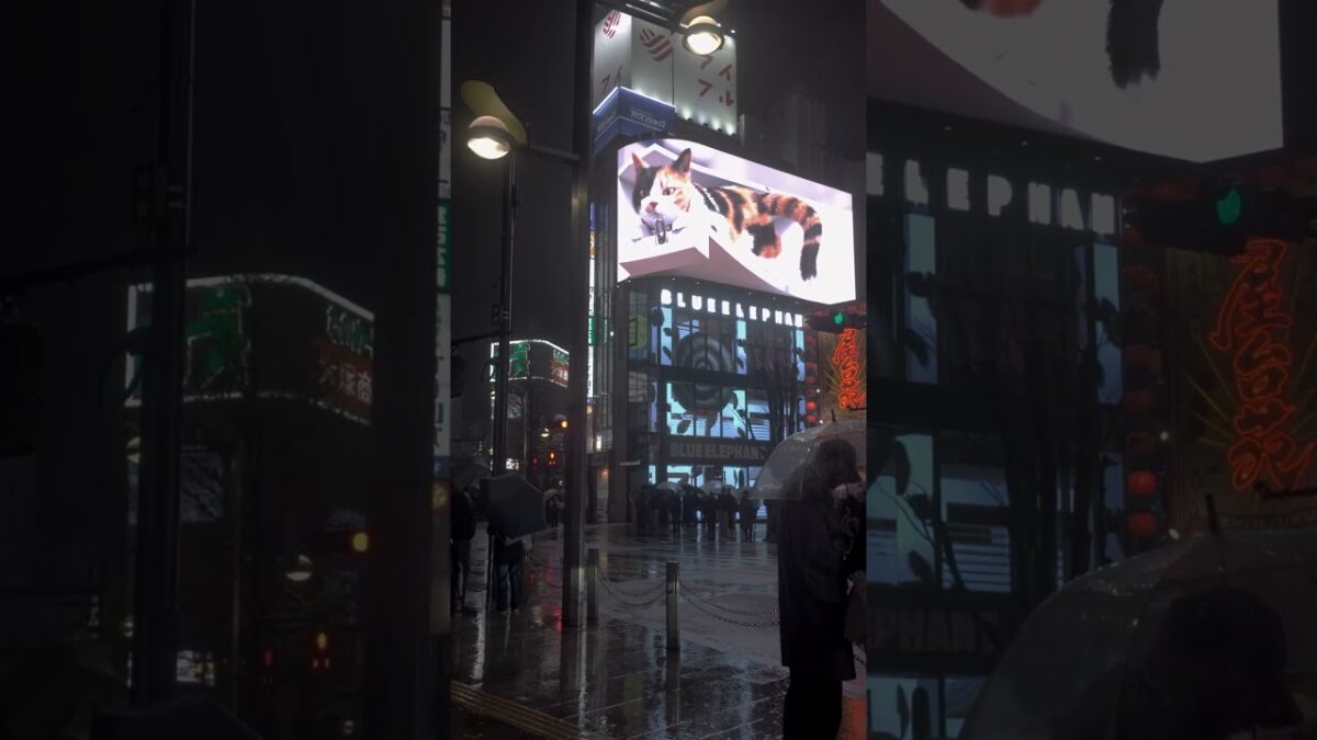 👆 ４Kフルバージョン はこちら | 新宿 雨の夜散歩☔️ Shinjuku Neon Walk #Shorts  #travel  #japantravel