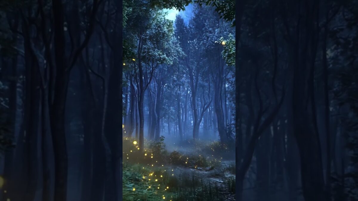 Magical Firefly Night Sounds for Instant Sleep #sleepaid #nature #asmr