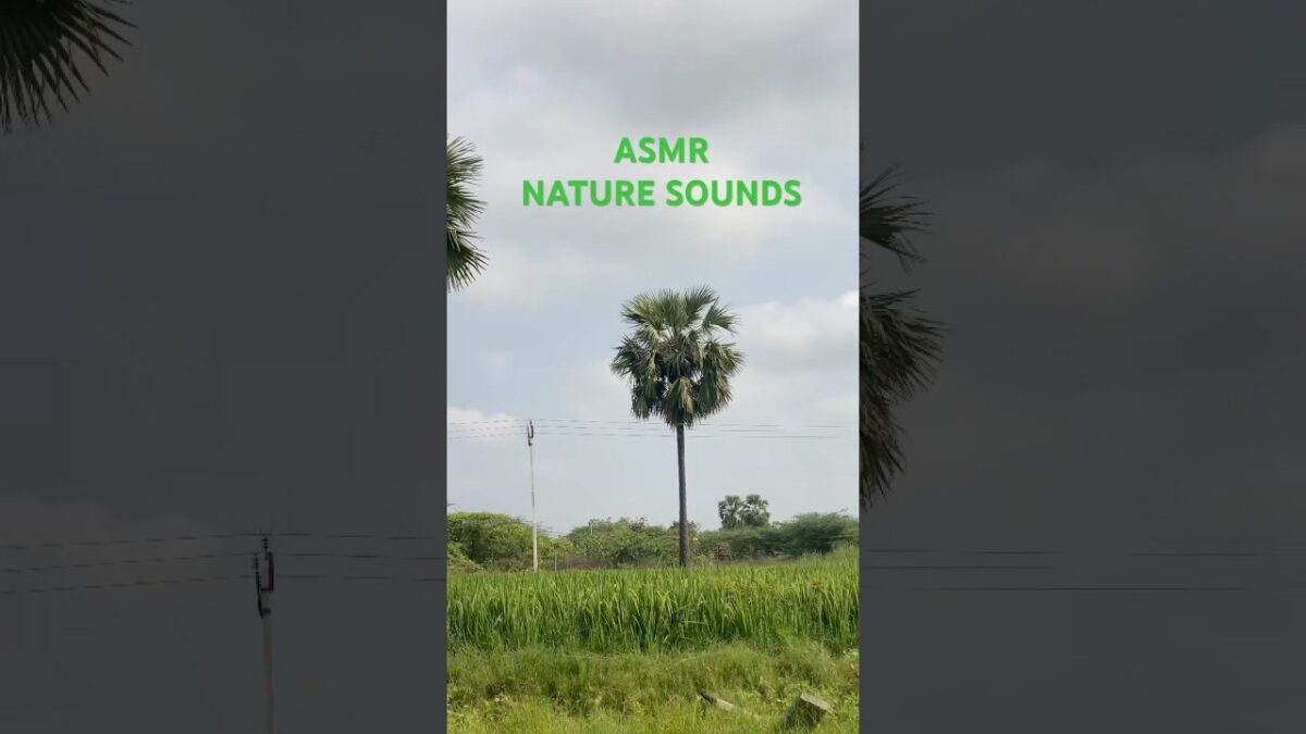 Nature asmr sounds #asmr #shorts